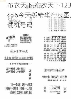 布衣天下123456今天版精華布衣圖,試機(jī)號(hào)碼,實(shí)踐調(diào)查說(shuō)明_EPE50.857競(jìng)技版