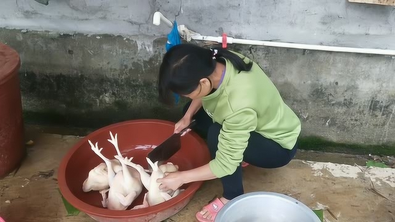 關(guān)于阿梅殺雞視頻的理性分析與網(wǎng)絡(luò)倫理道德探討，警惕涉黃內(nèi)容侵蝕社會(huì)倫理底線。