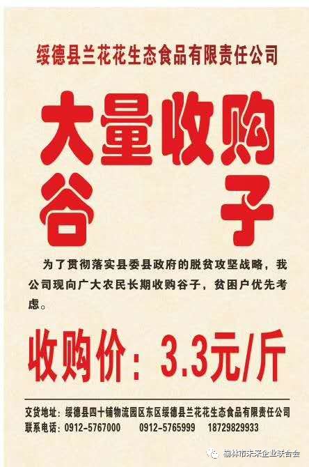淄川最新財務(wù)招聘，職業(yè)發(fā)展的理想選擇