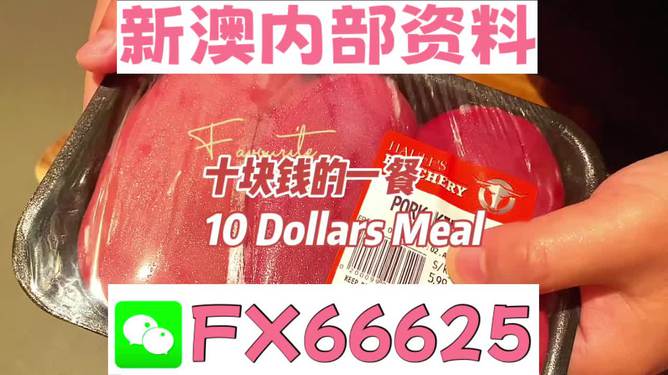 新澳精準(zhǔn)資料免費提供221期,全面設(shè)計實施_CEU23.179生活版