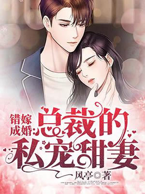 秘密成婚靳蕭然最新消息及步驟指南
