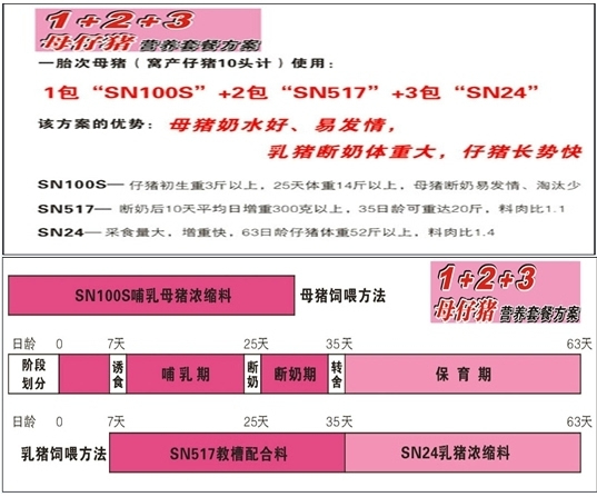 新澳天天免費精準資料大全,穩(wěn)固計劃實施_BRY85.916為你版