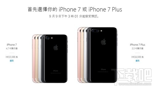 香港蘋果最新價(jià)格揭秘，小巷深處的驚喜發(fā)現(xiàn)