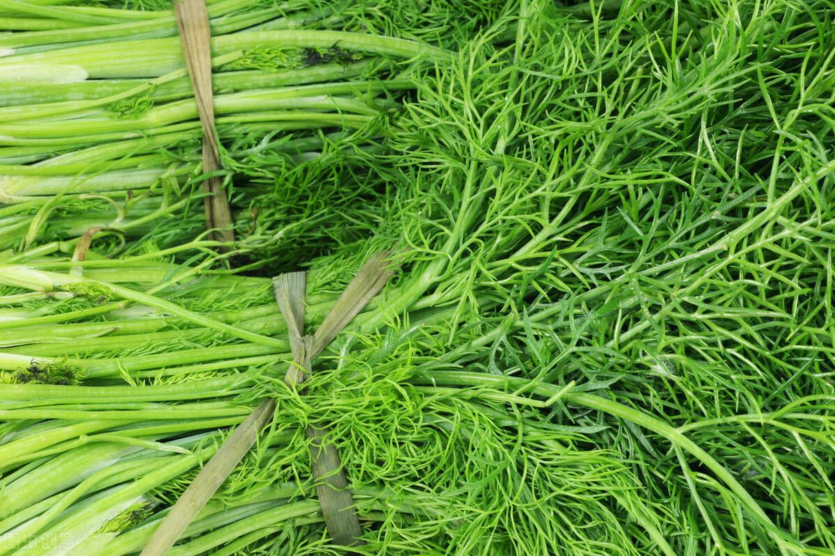 茴香價(jià)格動(dòng)態(tài)，香氣變化與你的關(guān)聯(lián)