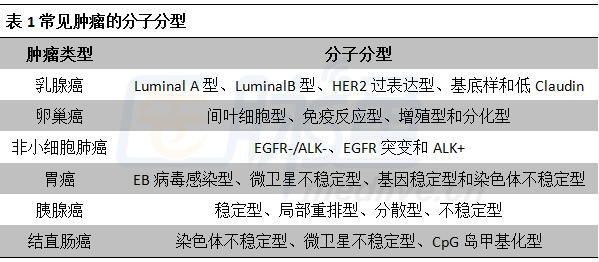 最新乳腺分類科技產(chǎn)品介紹，引領(lǐng)乳腺健康新篇章
