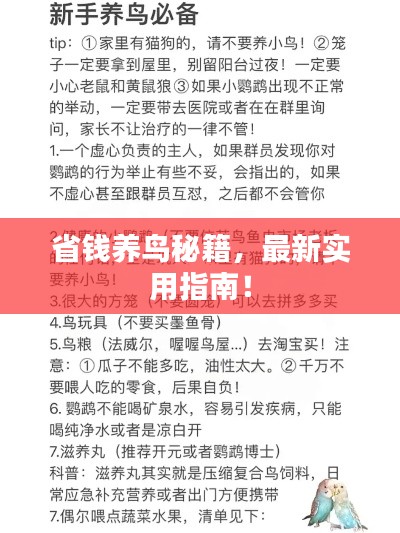最新養(yǎng)鳥法規(guī)解析，觀點闡述與深度探討