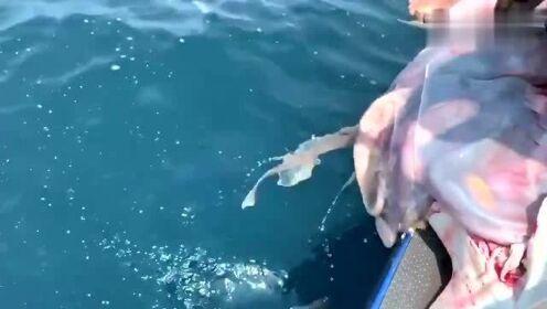 最新魚人流技術革命，高科技產品重塑未來生活體驗