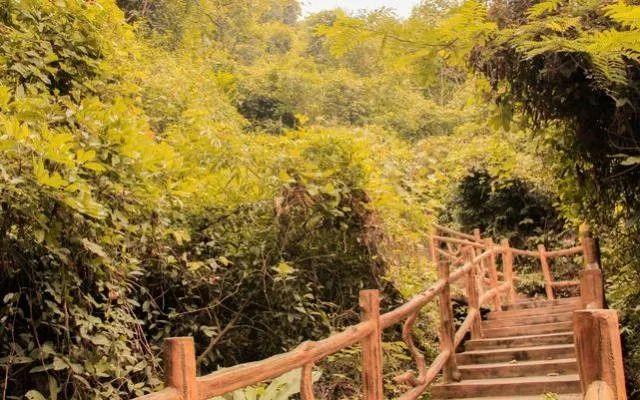 小99最新，科技、生活與娛樂的交融之地