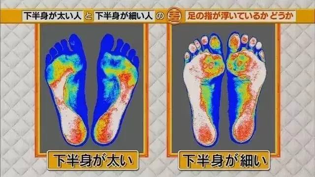 最新地趾論述，探索、爭議與觀點(diǎn)綜述