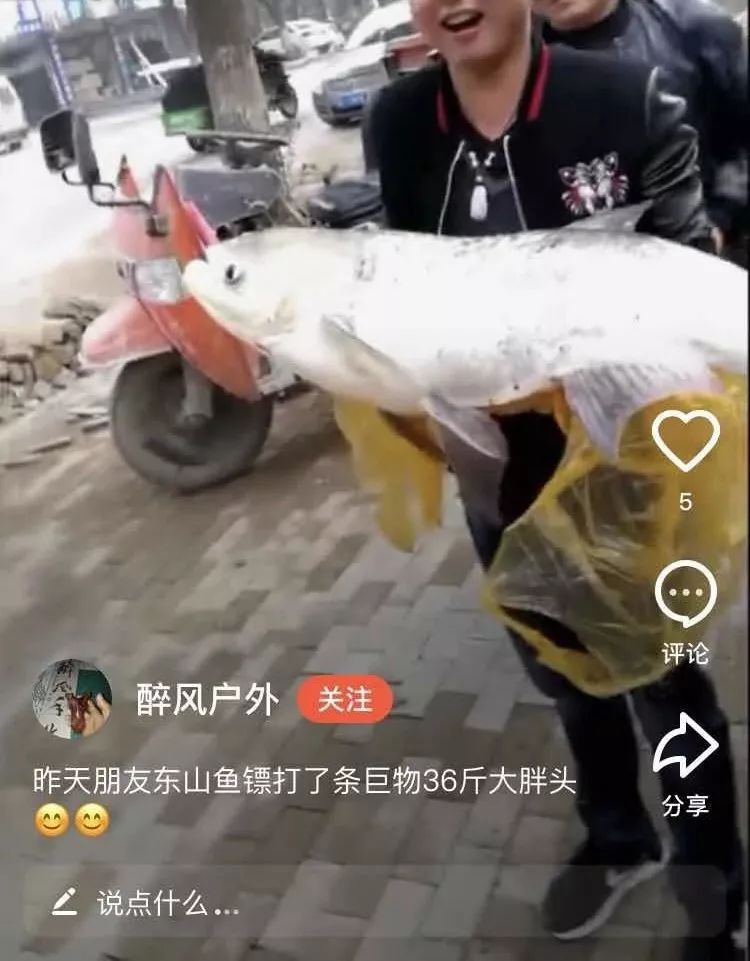 射魚神器進化升級，學習變革與自信成就之源
