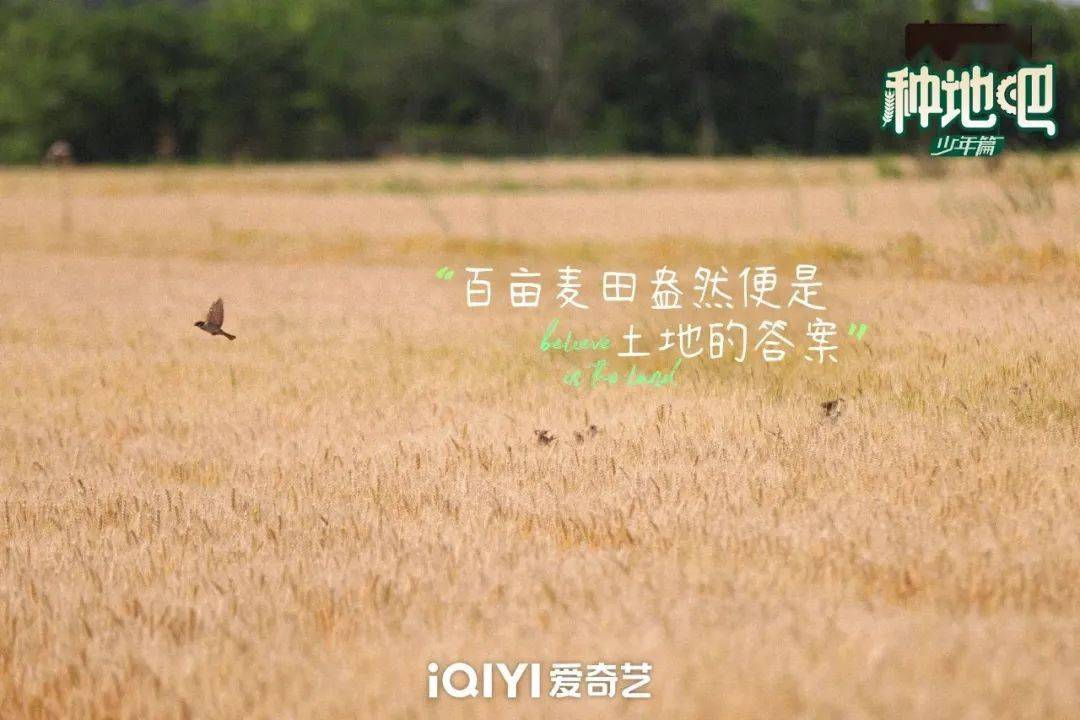 種地吧最新語錄，探索未來農(nóng)業(yè)的高科技魅力