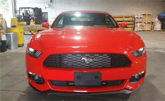 威路德最新款，小巷中的驚喜發(fā)現(xiàn)