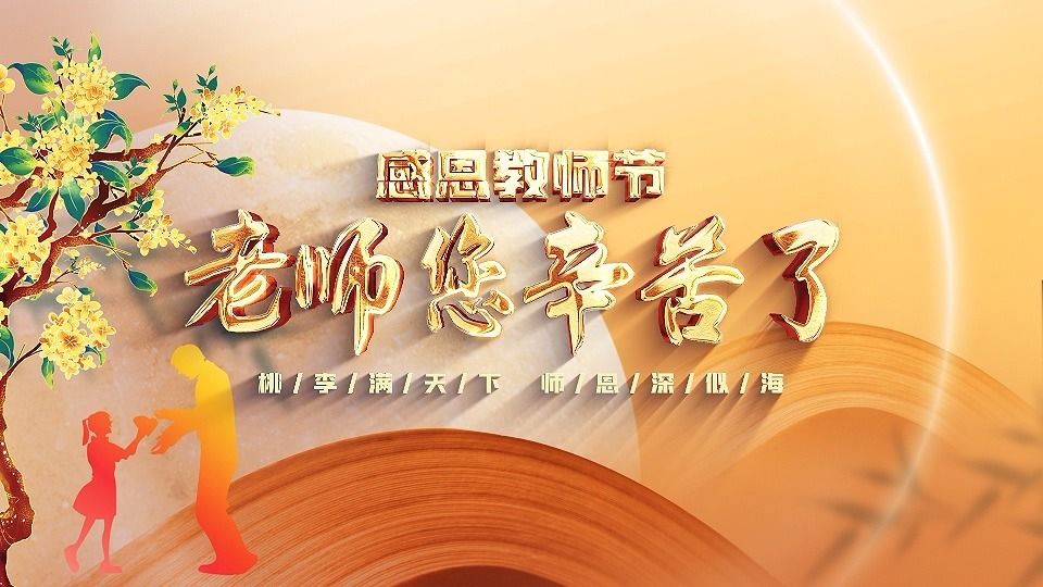 教師節(jié)最新視頻，深度探討教師角色與價值